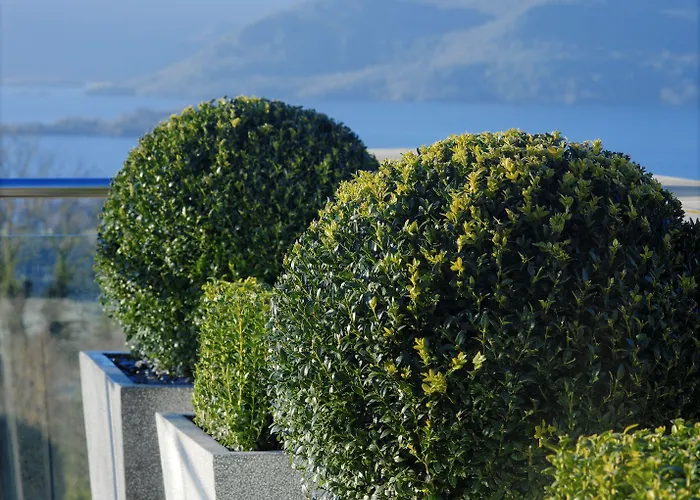 Aghadoe Heights & Отель 5*